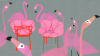 Alice's Flowers Poduszka Niebieski Paski