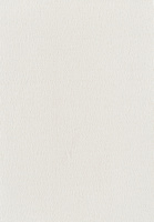 SmartStrand Sofia SOK carpeting.0890