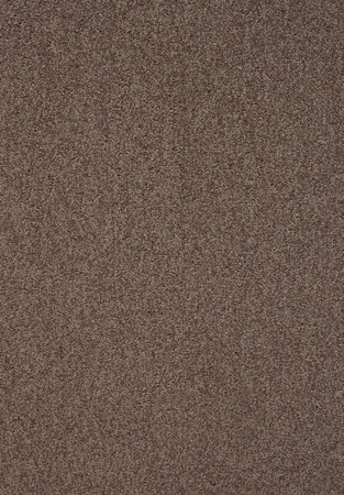 SmartStrand Lounge Carpet ZEO190