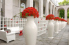 Misses Flower Power Pot Shiny Red