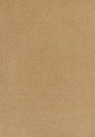 SmartStrand Sofia SOK carpeting.0370
