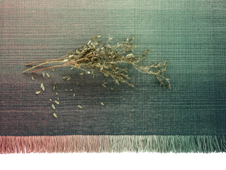 Dywan Nanimarquina Shade Palette 1