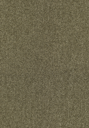 SmartStrand Lounge Carpet ZEO484