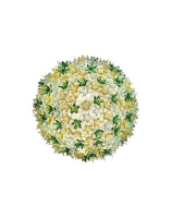 Bloom Ceiling Lamp Mint
