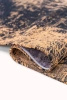 Louis de Poortere Mad Men Cracks Deep Mine rug 8618