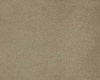 SmartStrand Lior USO carpeting.0260
