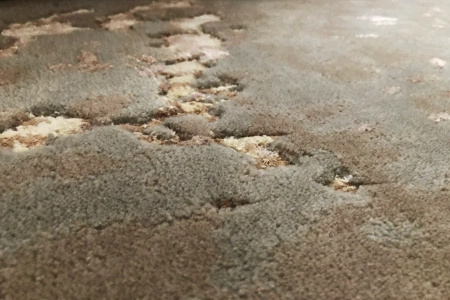 Serge Lesage Top Powdered Sage Carpet