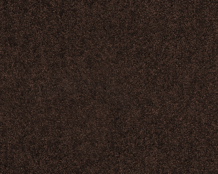 SmartStrand Lounge Carpet ZEO283