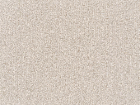 SmartStrand Sofia SOK carpeting.0440