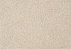 SmartStrand Lounge Carpet ZEO221