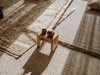 Nanimarquina Wellbeing Nettle Dhurrie rug