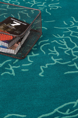 Toulemonde Bochart Nature Lagon Carpet