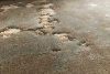 Serge Lesage Top Powdered Sage Carpet