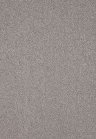 SmartStrand Lounge Carpet ZEO880