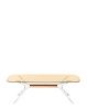 Blast Rectangular Transparent Brown Table