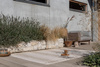 Dywan Brink&Campman Zona Line Sesame 497601