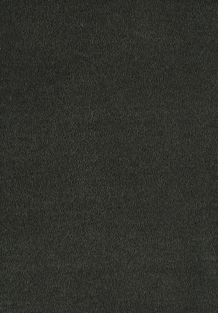 SmartStrand Sofia SOK carpeting.0810