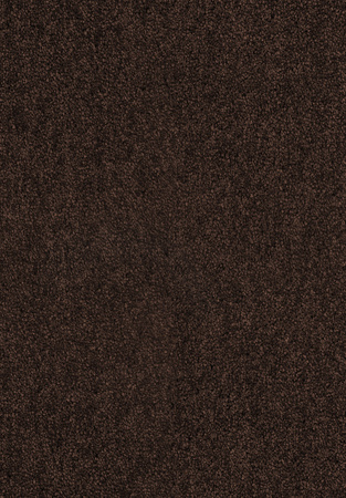 SmartStrand Lounge Carpet ZEO283