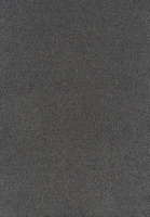 SmartStrand Sofia SOK carpeting.0820