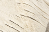 Landscape Bark Nature rug