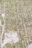 Louis de Poortere SAKURA WET GARDEN rug 9372