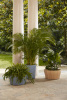 Corteza Pot Beige