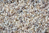 Brink&Campman Young carpet 061805