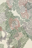 Toulemonde Bochart Paysage Printemps Carpet