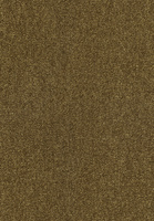 SmartStrand Lounge Carpet ZEO384