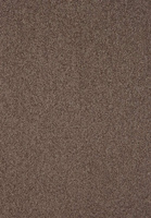 SmartStrand Lounge Carpet ZEO190