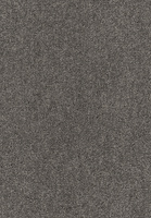 SmartStrand Lounge Carpet ZEO834