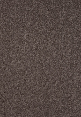 SmartStrand Lounge Carpet ZEO470