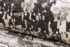 Rezas Seduction rug 840174