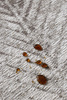 Carpet Decor Java Ivory