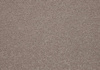SmartStrand Lounge Carpet ZEO460