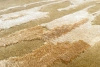 Serge Lesage Stretch Gold Carpet