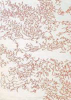 Toulemonde Bochart Nature Corail Carpet
