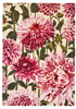 Harlequin DAHLIA FUCHSIA PALM carpet 142402
