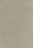 SmartStrand Sofia SOK carpeting.0460