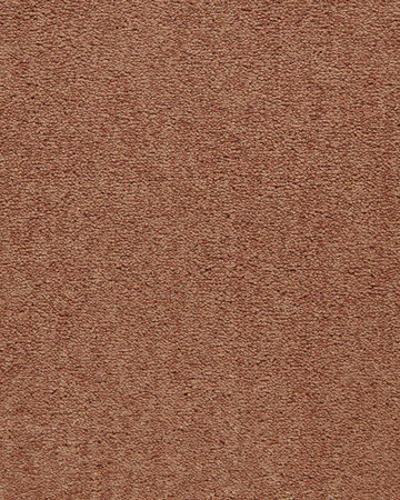 SmartStrand Lounge Carpet ZEO332
