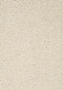 SmartStrand Lounge Carpet ZEO251