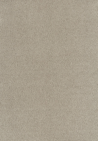 SmartStrand Sofia SOK carpeting.0460
