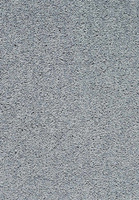 SmartStrand Lounge Carpet ZEO841