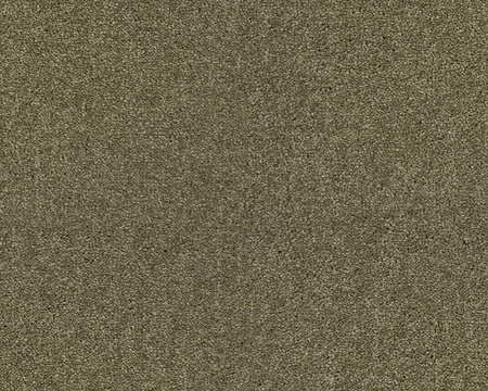 SmartStrand Lounge Carpet ZEO484