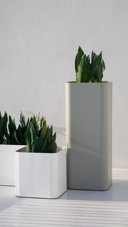 Gandiablasco Sonora 1 flowerpot