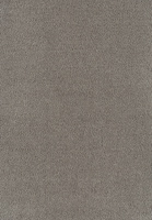 SmartStrand Sofia SOK carpeting.0410