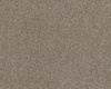 Wykładzina SmartStrand Lounge ZEO434