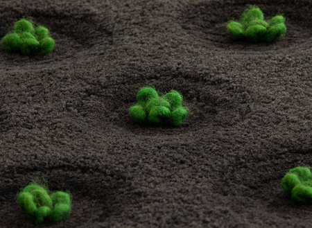 Gan La Geria-Lanzarote carpet