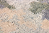 Rezas Attraction Carpet No. 3 8096
