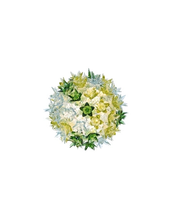 Bloom Applique Wall Lamp Mint